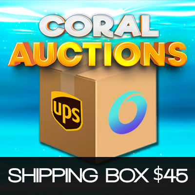 Shipping Module - Auctions