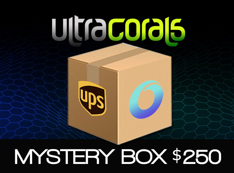 Ultra Corals Mystery Box