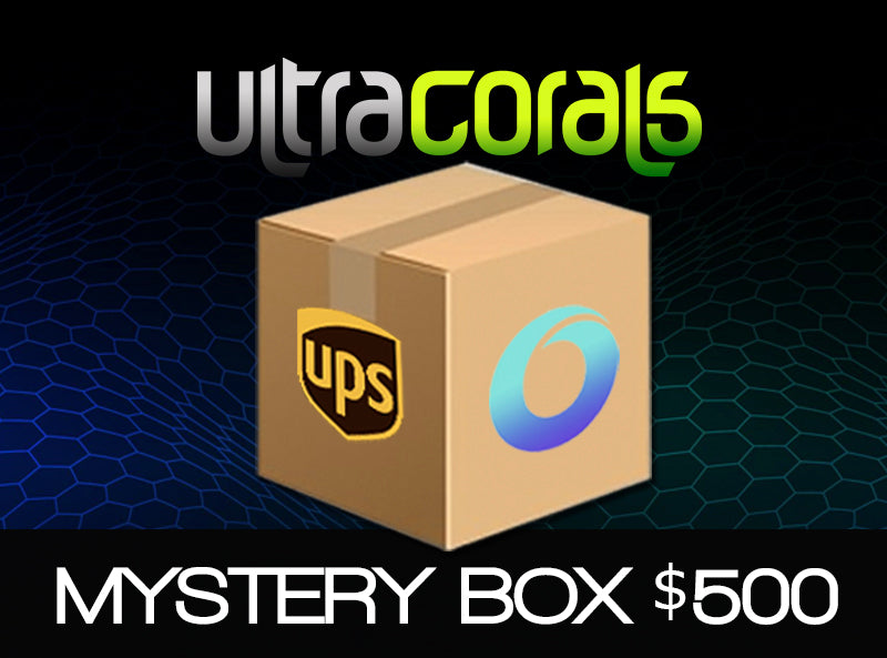 Ultra Corals Mystery Box