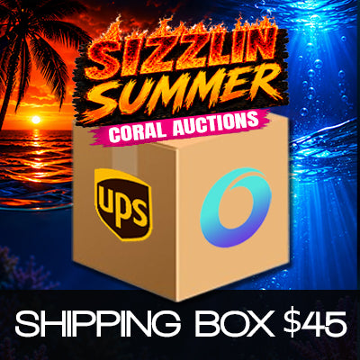 Shipping Module - Auctions
