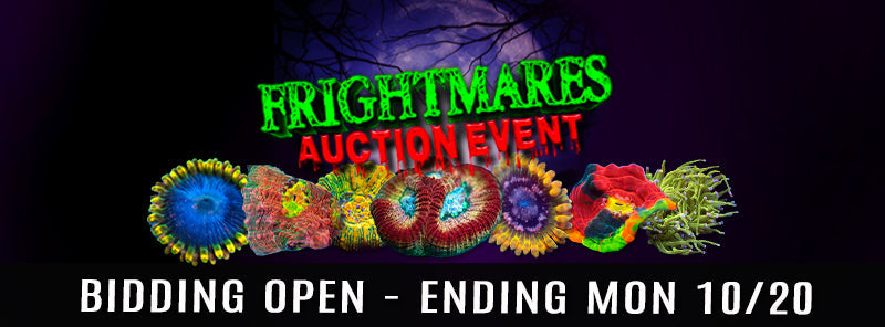 AUCTIONS