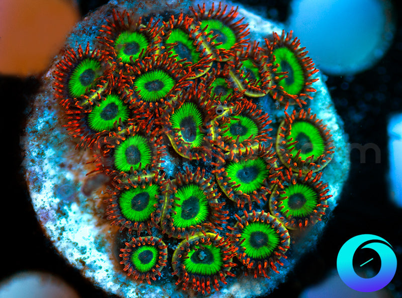 Emeralds on Fire