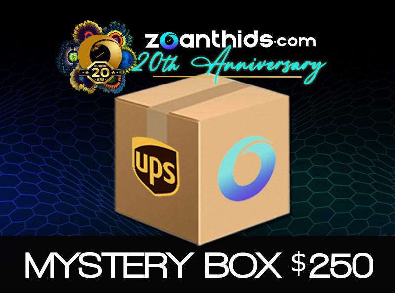 Zoanthids Mystery Box