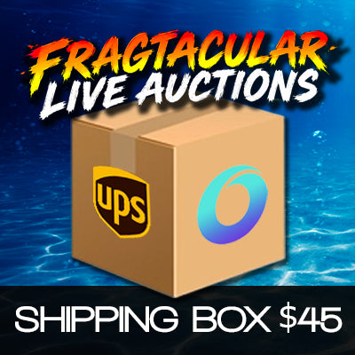 Shipping Module - Auctions