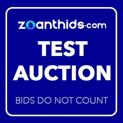 Test Auction1