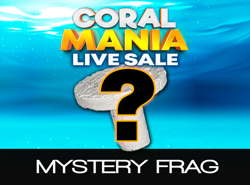 Mystery Frag
