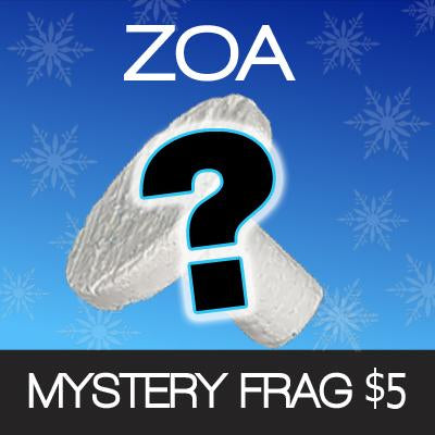 Mystery Frag